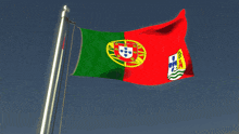 a red green and yellow flag with a coat of arms on it