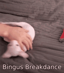 Bingus Breakdance GIF - Bingus Breakdance Spin GIFs