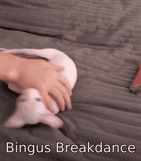 breakdancing cat gif