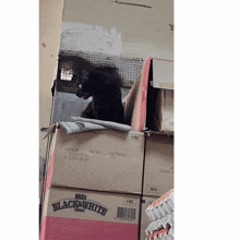 a cat is sitting on top of a cardboard box that says black & white