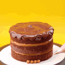 a chocolate cake with chocolate frosting is on a plate