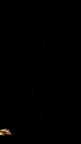 the sun is shining brightly in a dark sky