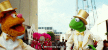 We'Re Doing A Sequel Muppets GIF - We'Re Doing A Sequel Muppets Most Wanted GIFs