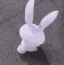 Youyou Les Lapins Cute Bunny GIF - Youyou Les Lapins Cute Bunny Baby Bunny GIFs