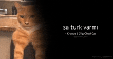 Sa Turk Varmı Shitpost GIF - Sa Turk Varmı Shitpost Dark Meme GIFs