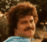 a man with curly hair and a mustache is making a funny face and saying hi goldita .