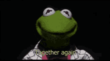 Every Time I See My Friends Again GIF - Reunited Together Again Kermit GIFs