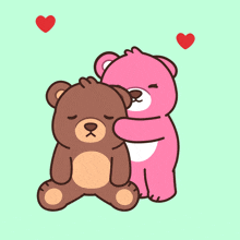 a brown teddy bear and a pink teddy bear are standing next to each other