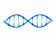 Dna Spinning GIF - Dna Spinning Rotating GIFs