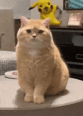 a cat is sitting on a table in front of a pikachu statue