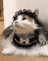 Cat Maid GIF - Cat Maid Komugi GIFs