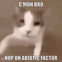 Cmon Bro Hop On Abiotic Factor Cat Kiss GIF