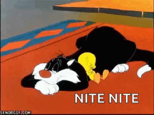 Nite Good Night GIF - Nite Good Night Looney Tunes GIFs