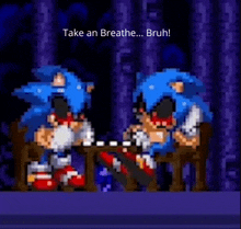 two sonic the hedgehogs are sitting at a table in a video game .