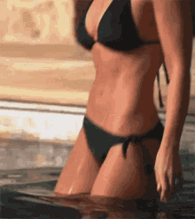 Celebrity Bikini GIF - Celebrity Bikini Lacey GIFs