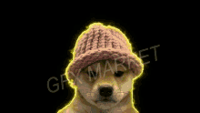 Dog Doge GIF - Dog Doge Power GIFs