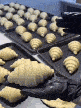 a person wearing black gloves is picking up a croissant from a tray of croissants .