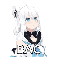 a white anime girl with blue eyes and a cat ear is wearing a blue scarf and a white hoodie .