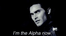 alpha derek teenwolf halepack