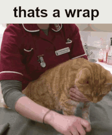 Thats A Wrap Wrap It Up GIF - Thats A Wrap Wrap It Up Cat GIFs