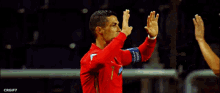 Ronaldo Portugal Raphael Gurreiro GIF