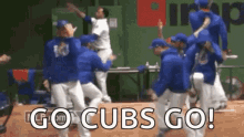 cubs cheering homerun