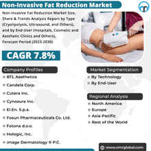 Non-invasive Fat Reduction Market GIF - Non-invasive Fat Reduction Market GIFs