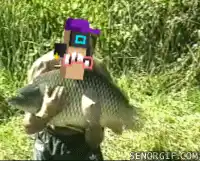 a man with a purple hat is holding a large fish ..