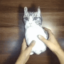 a person is holding a stuffed cat that looks like a rabbit .