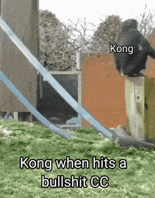 kong when hits a bullshit cc is written on a picture