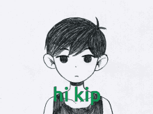 Kipkipkip GIF - Kipkipkip GIFs
