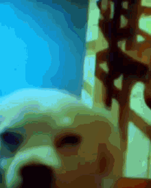 a blurry picture of a person 's face with a shadow of a person behind it