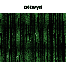 Accwyn Knc GIF - Accwyn Knc GIFs