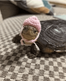 a small turtle wearing a pink hat is sitting on a checkered blanket .
