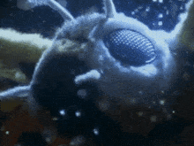 a close up of a moth 's face with blue eyes