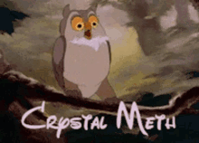 owl crystal meth