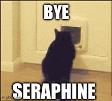 Bye Seraphine Noir GIF