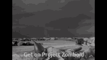 nevsky battle over the ice project zomboid get on