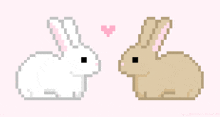 Bunny Bunny Kiss GIF - Bunny Bunny Kiss Bunny Love GIFs
