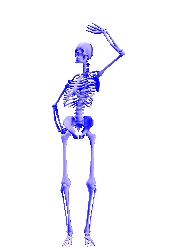 Skeleton Sticker - Skeleton Stickers