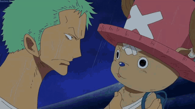 onepiece #mugiwara #luffy #zoro #chopper  One piece meme, Funny anime  pics, One piece funny