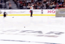 arizona coyotes hockey challenge arizona coyotes hockey challenge