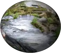 a picture of a river in a circle
