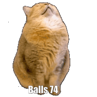 Balls 74 Sticker