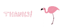 flamingo pink thanks thank you
