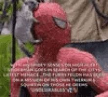 a stuffed animal in a spiderman costume is sitting next to a person in a park .