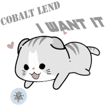 cobaltlend cblt cute kitten i want it i wann it