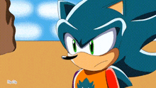 a cartoon of sonic the hedgehog wearing a shirt with a leaf on it .