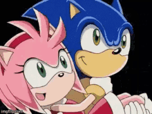 Sonic The Hedgehog Amy Rose GIF
