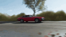 a red car is driving down a road in front of a tree
